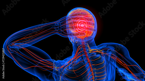 Feeling headache anatomy for medical concept 3D Rendering photo