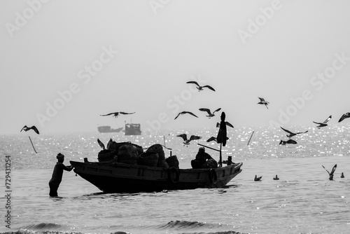 1st January, 2024, Bakkhali, West Bengal, india: A fishing boat coming from deep sea after fishing, few Seagul birds flying for food. photo