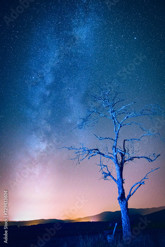 nightscape