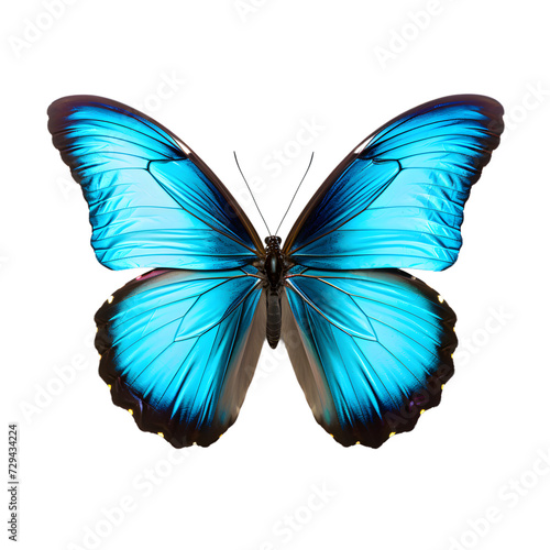 Blue glowing butterfly isolated,  transparent PNG Background © usman
