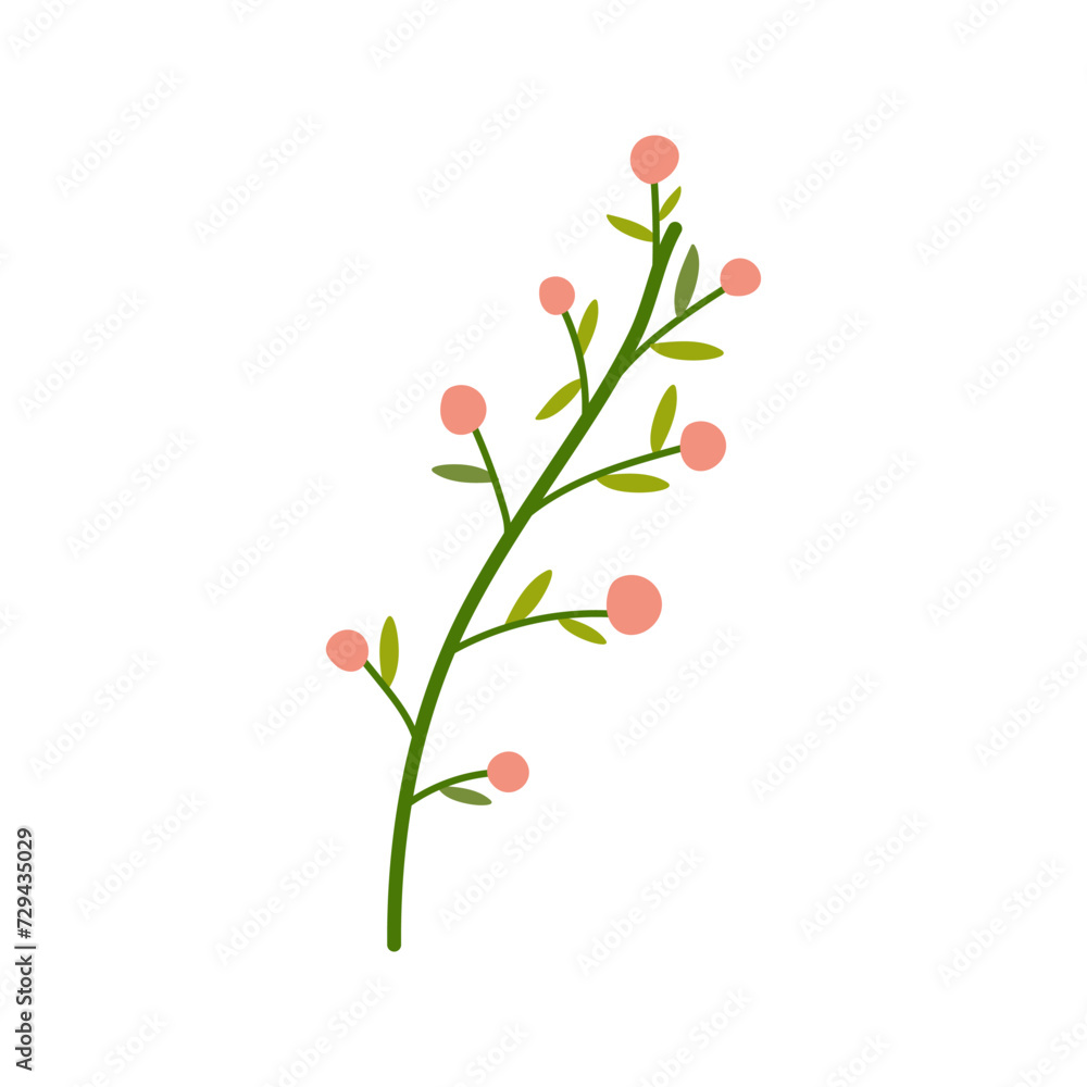 Hand drawn simple vector with berries, spring summer plant on white isolated background