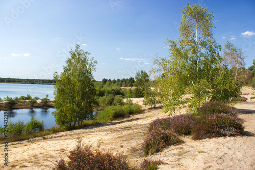 Landscape in National Park Maasduinen in the Netherlands