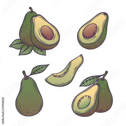 Avocado set. Collection of tropical fruit design elements in flat line style. Vector illustration.