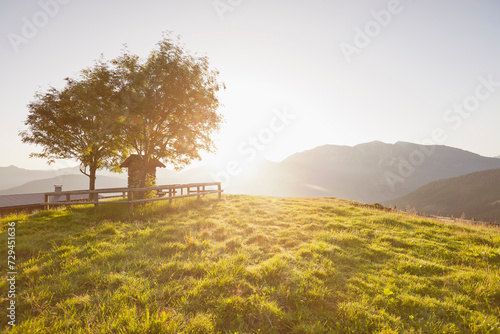 Landscape shots in the mountains in the summer. Achenkirch, Austria photo