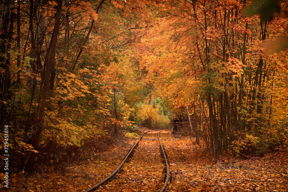 Bahnstrecke durch den Herbstwald