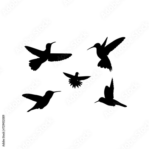 Flat vector hummingbird icon symbol. graphic design elements. Vector illustration. Hummingbird vector icon on white background. Flying hummingbird icon silhouette art illustration. You can use the we