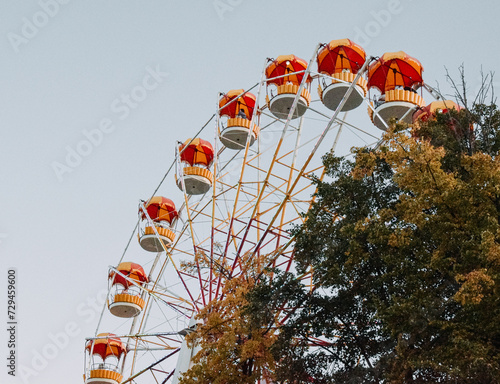 ferris wheel in the park