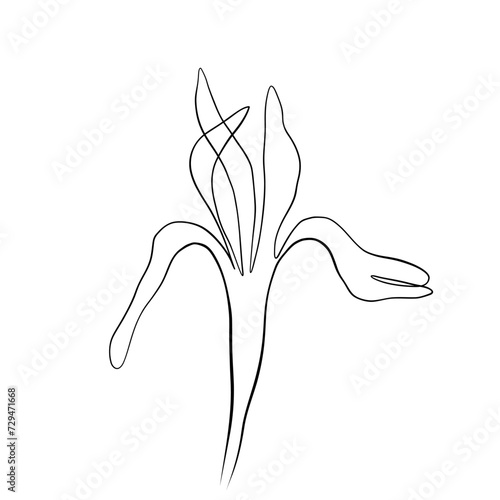 Continuous line drawing. line art of iris flower Continuous line drawing. Vector