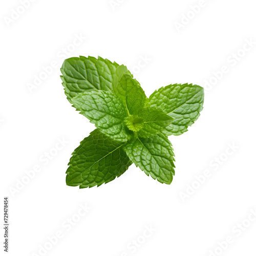 mint leaves isolated on transparent background created with Generative AI