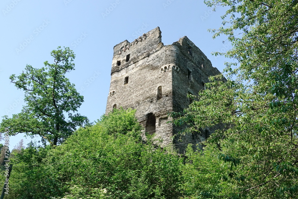 Ruine Balduinseck im Hunsrueck