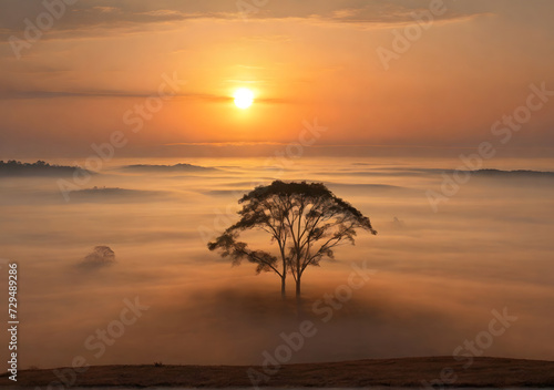 Big sun and Mist in sunrise,Morning,White balace orange on sunrise