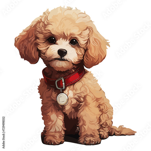 Poodle Dog, cartoon Illustration, Vector Graphic, comic Style, isolated