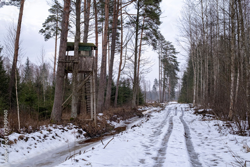 Latvia landscape with winter forest, handmade wooden hunting or observing tower between coniferous trees near slippery forest road © Neils