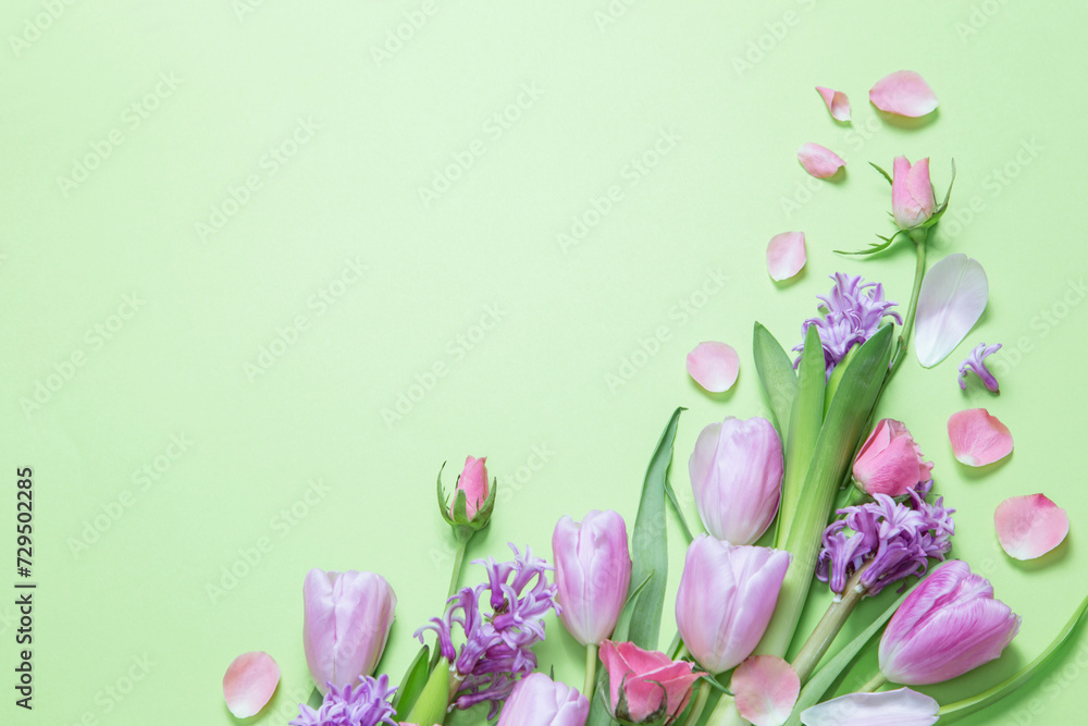 spring flowers on green paper background