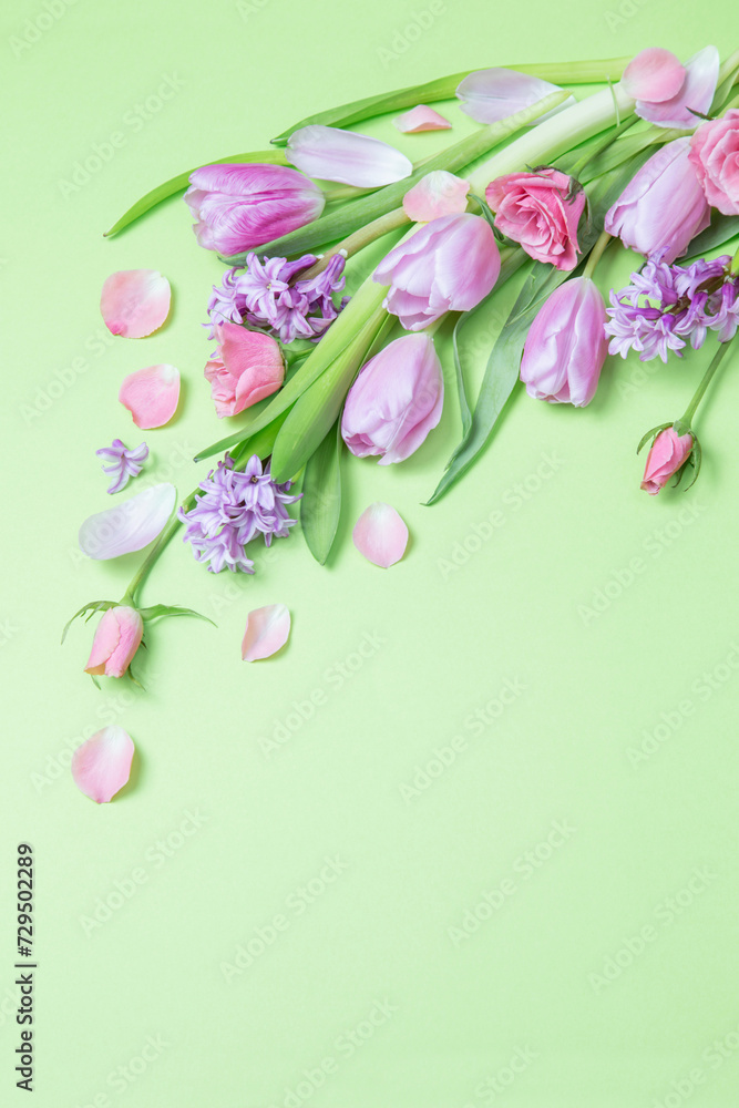 spring flowers on green paper background spring flowers on green paper background