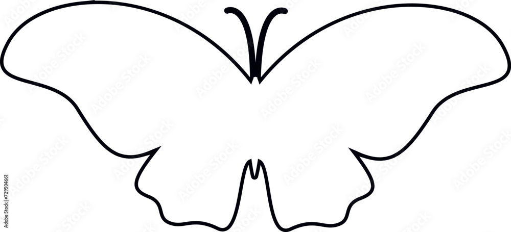 Butterfly doodle drawing and design. Butterfly doodle drawing and design.