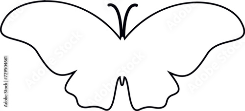Butterfly doodle drawing and design.