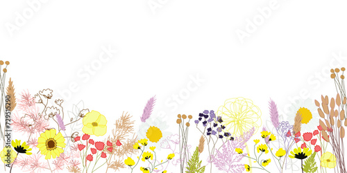 Banner giardino con piccoli fiori colorati photo