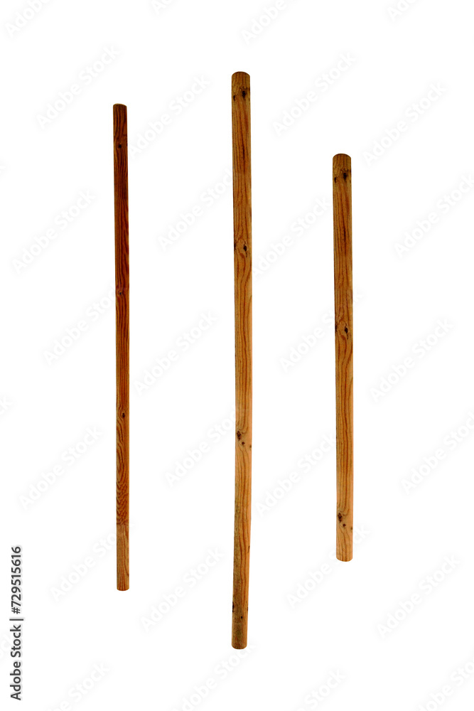 Wooden poles support the tree on isolated transparent background Wooden poles support the tree on isolated transparent background
