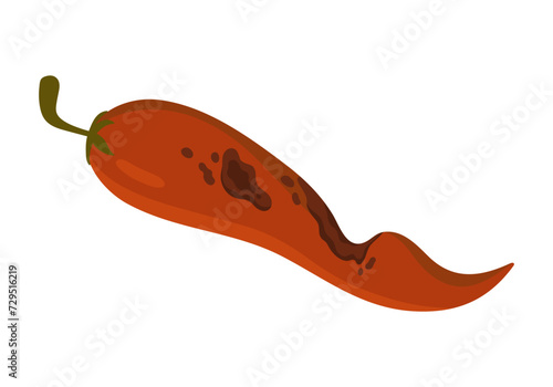 Old rotten chilli pepper. Bad unhealthy food from kitchen litter, moldy expired vegetable, organic garbage cartoon vector illustration photo