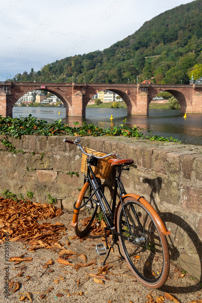 Germany, Heidelberg The old Bridge Karl Theodor bicycle Germany, Heidelberg The old Bridge Karl Theodor bicycle