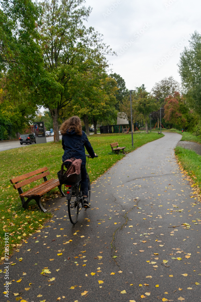 Naklejka premium Germany, Heidelberg park bicycle