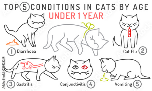 Top 5 conditions in cats by age. Under one year cat.