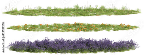 ground covers, meadows, 3d rendering on transparent background