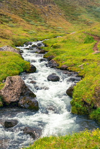 mountain stream in icelandic highlands, spring season landscape