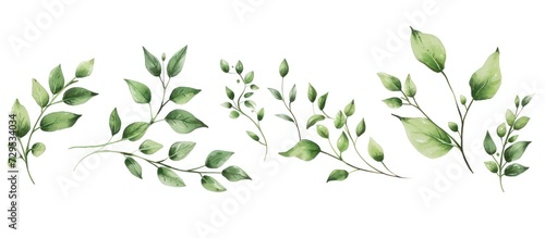 Floral leaves drawn with summer branches isolated white background. AI generated image photo