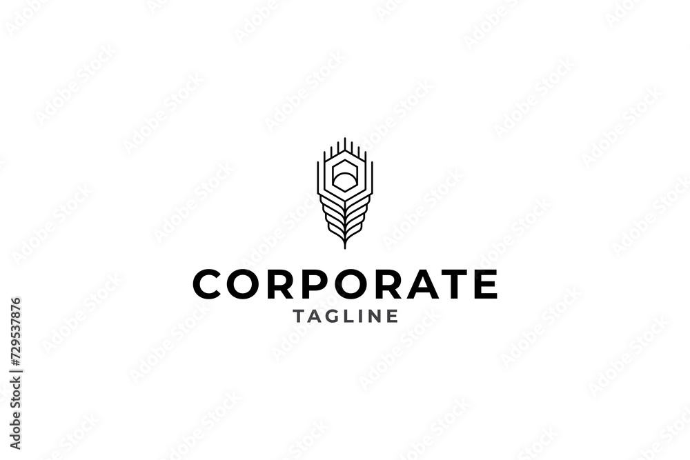 Obraz premium beautiful peacock feather icon line art vector logo design template