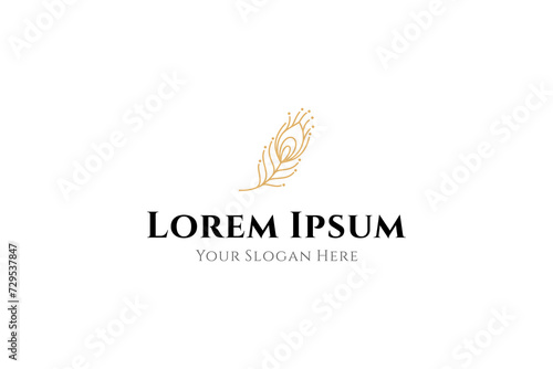 luxury peacock feather icon line art vector logo design template with gold color