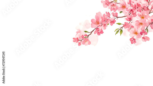 Banner with Sakura flowers of pink color on white, with copy space. Branch of blooming sakura, watercolor. Springtime concept. Valentine's Day, Easter, Birthday, Women's Day, Mother's Day. Flat lay