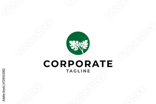 nature monstera plant flat logo vector design