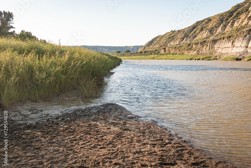 Muddy Little Missouri River water and tall grass in the canyon summer landscape with blue sky in North Dakota, USA.