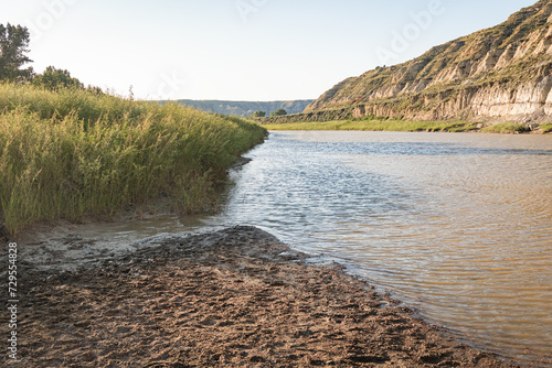 Muddy Little Missouri River water and tall grass in the canyon summer landscape with blue sky in North Dakota  USA.