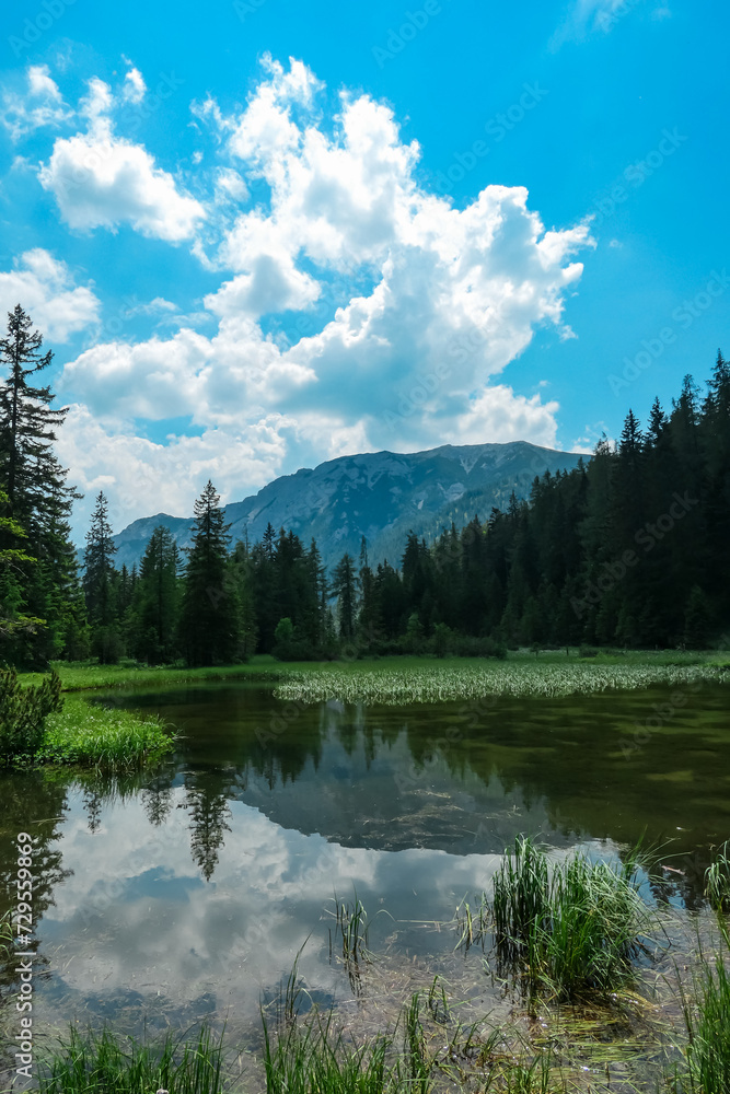 Panoramic view of alpine lake Josersee surrounded by forest in Hochschwab mountains, Styria, Austria. Wanderlust in wilderness of untamed Austrian Alps, Europe. Idyllic hiking atmosphere in summer