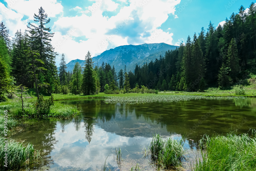 Fototapeta premium Panoramic view of alpine lake Josersee surrounded by forest in Hochschwab mountains, Styria, Austria. Wanderlust in wilderness of untamed Austrian Alps, Europe. Idyllic hiking atmosphere in summer