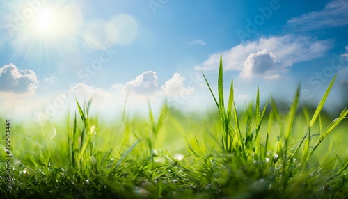 world environment day concept green grass and blue sky abstract background with bokeh