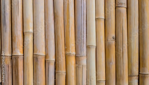 wood texture bamboo