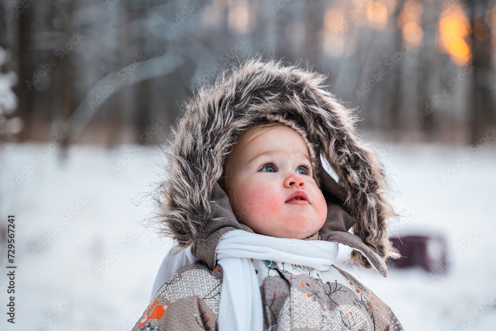 Portrait of a Cute child toddler in a fur hood in winter in snowy forest Portrait of a Cute child toddler in a fur hood in winter in snowy forest