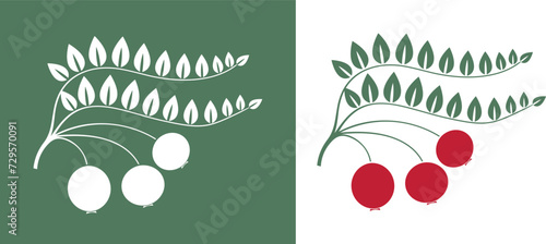Cranberry logo. Isolated cranberry on white background