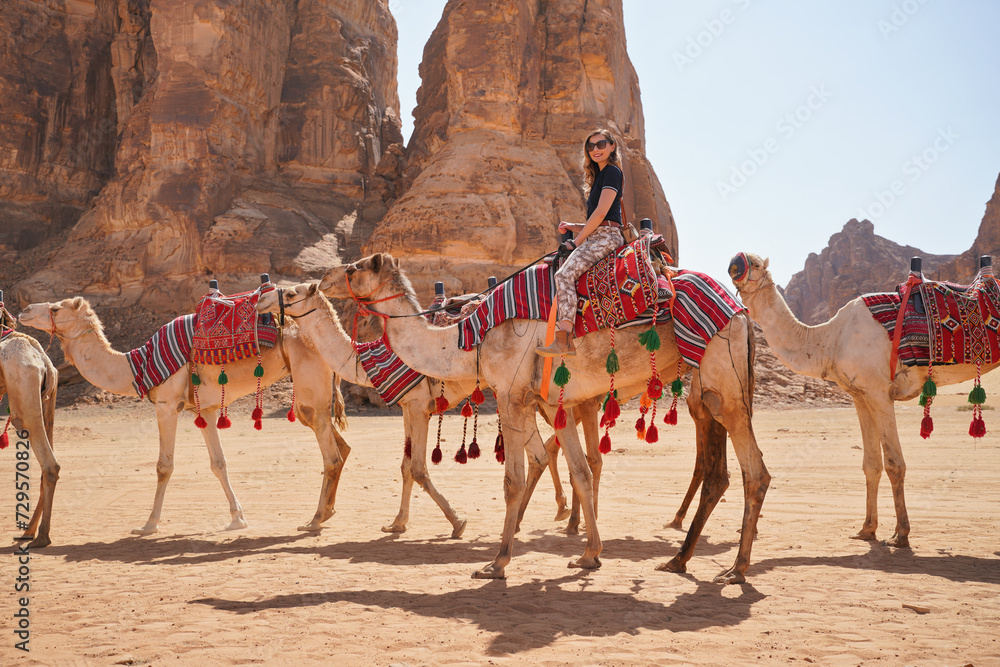 Group of camels, seats ready for tourists, walking in AlUla desert on a sunny day afternoon, young woman riding one animal, sandstone rocks formation background