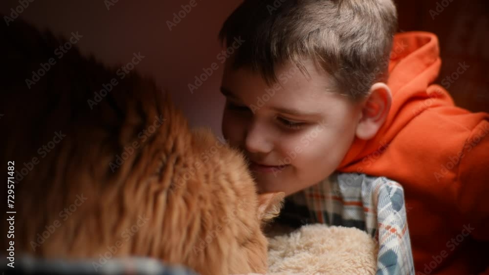 Cute little child boy playing with adorable ginger cat in dark room with beautiful lighting. Closeup of happy kid play with kitten at home. Concept of relaxing cozy wellbeing. Shooting in slow motion. Cute little child boy playing with adorable ginger cat in dark room with beautiful lighting. Closeup of happy kid play with kitten at home. Concept of relaxing cozy wellbeing. Shooting in slow motion.