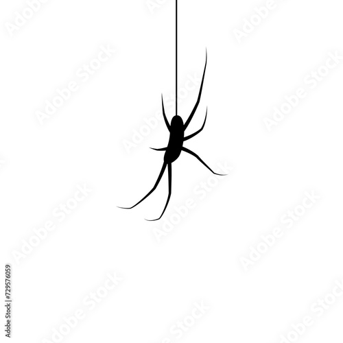 Spider silhouette. Black hanging spider isolated on white background. Simple realistic insect hang down on string. Phobia symbol. Drawing arachnid side. Pest crawling on web. Vector illustration
