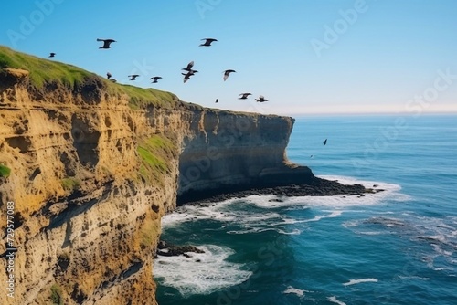Many swallows on a sea cliff fly to their nests on a sunny day