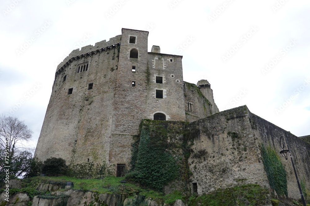 Ruines du château fort de Clisson en Bretagne