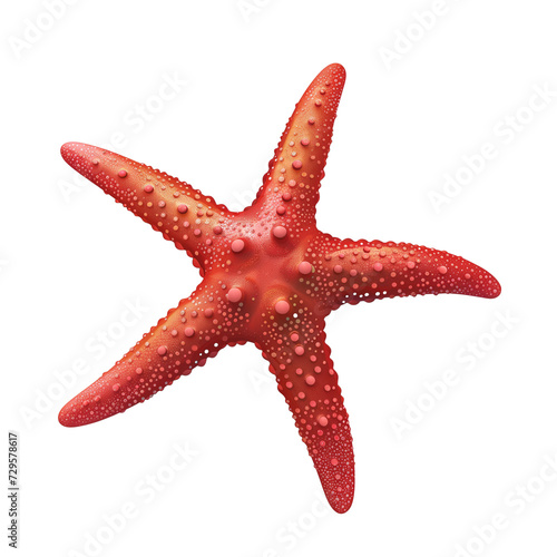 3d render, red starfish icon isolated on transparent background
