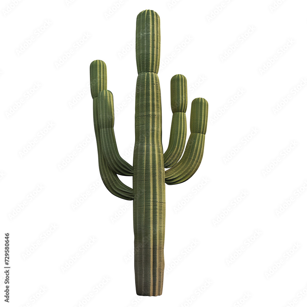 3d render, Saguaro cactus, Carnegiea gigantea, Iconic desert plant of the Southwest.on isolated transparent background 3d render, Saguaro cactus, Carnegiea gigantea, Iconic desert plant of the Southwest.on isolated transparent background