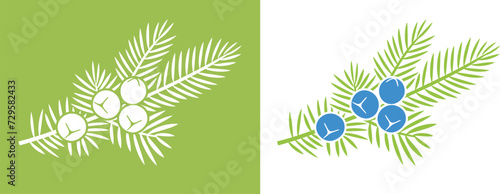 Juniper berries logo. Isolated Juniper berries on white background